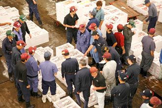 卸売業（鮮魚・特種・塩冷）